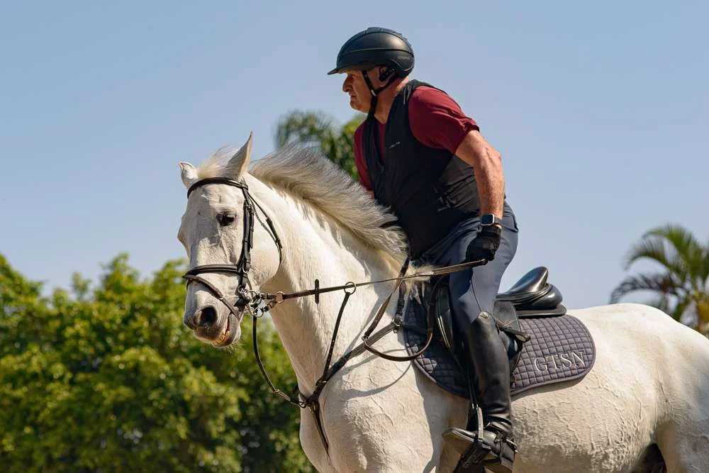 Onde encontrar aulas de salto para cavalos?