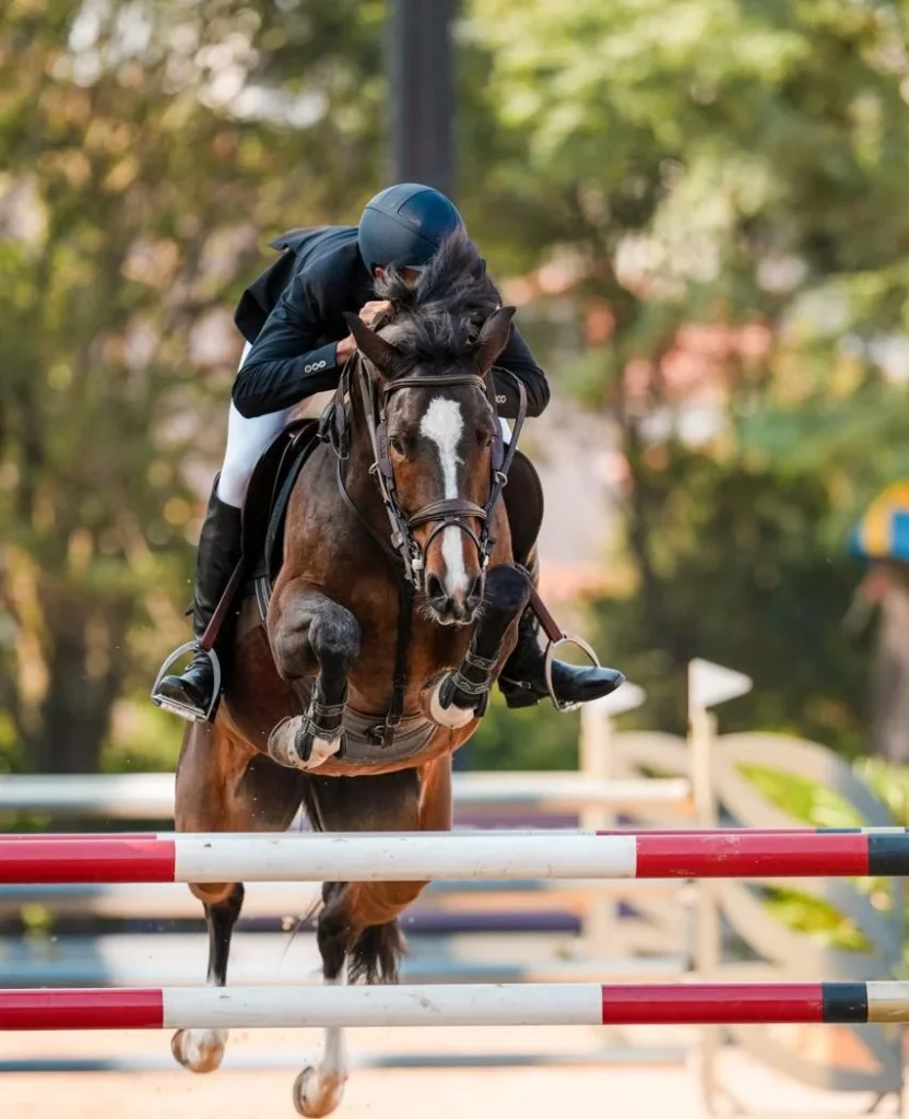 Hipismo: o que saber antes da primeira aula